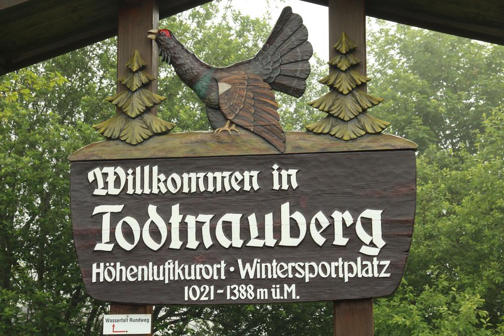Todnauerberg Hotel Im Schwarzwald Todtnauberg Zewnętrze zdjęcie
