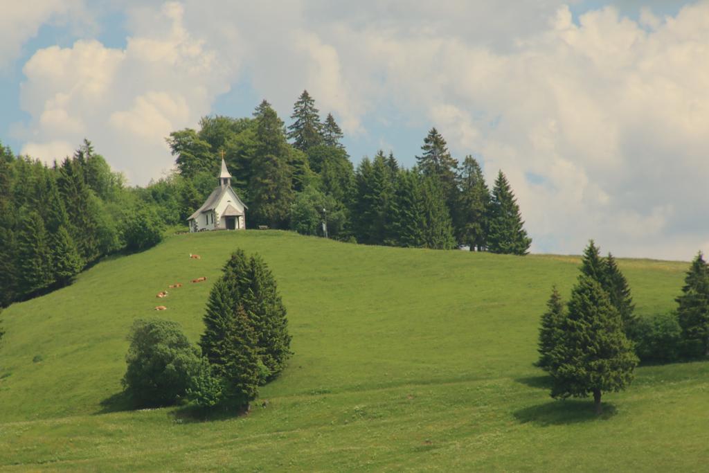 Todnauerberg Hotel Im Schwarzwald Todtnauberg Zewnętrze zdjęcie