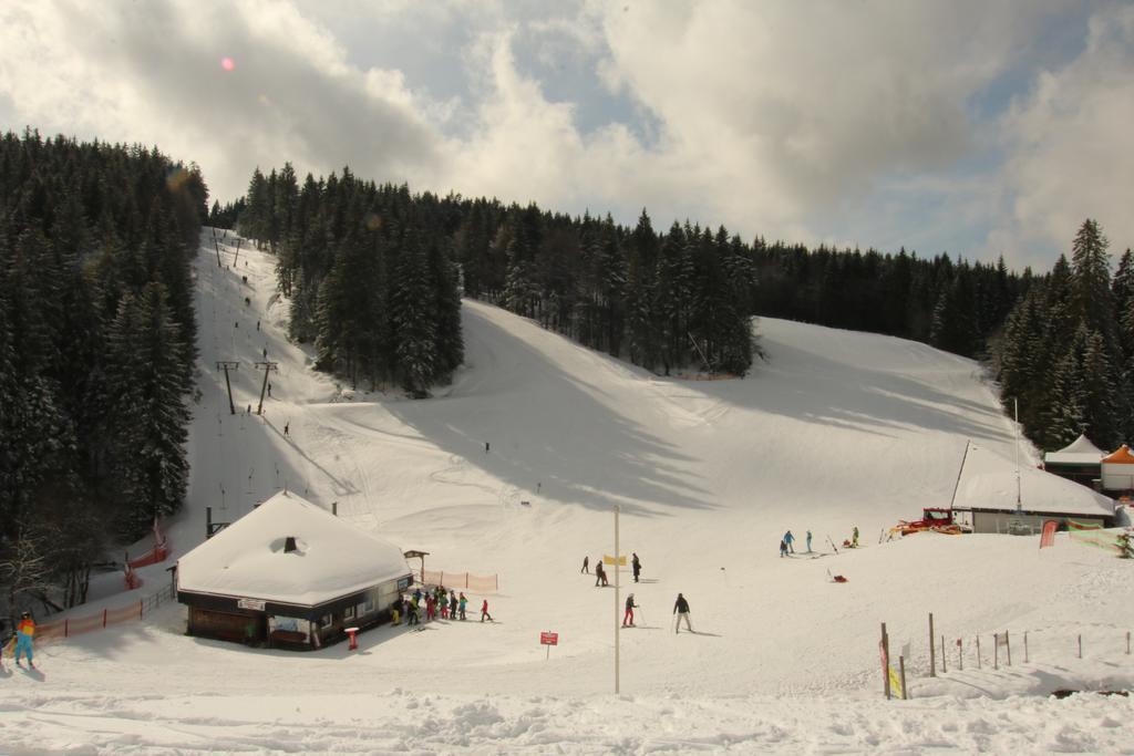 Todnauerberg Hotel Im Schwarzwald Todtnauberg Zewnętrze zdjęcie