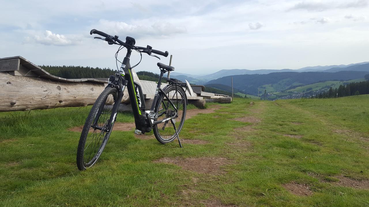 Todnauerberg Hotel Im Schwarzwald Todtnauberg Zewnętrze zdjęcie